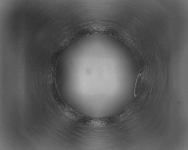 X0000073450464200608181243