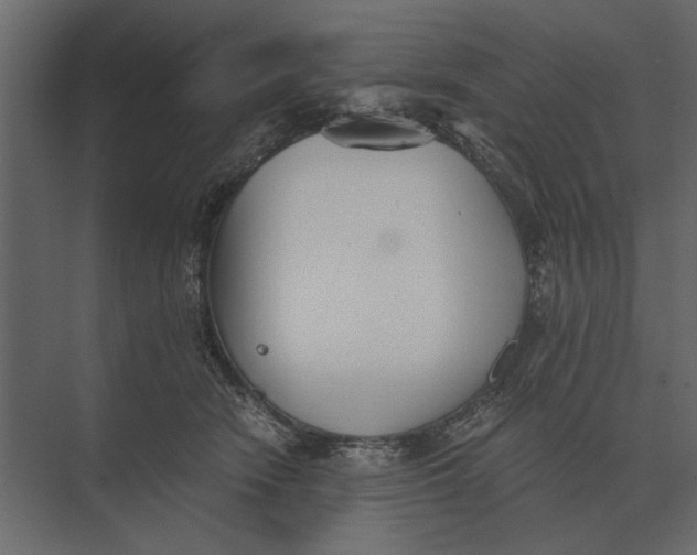 X0000073450466200608181243