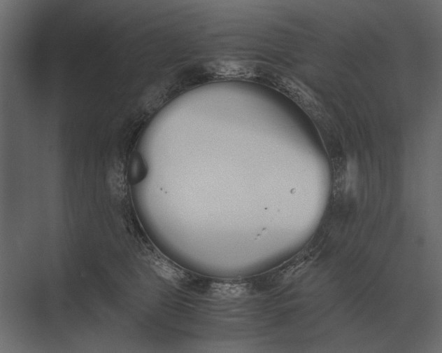 X0000073450469200608181243