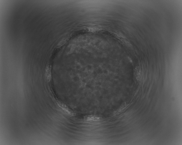 X0000073450471200608181243