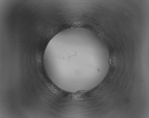 X0000073450472200608181243