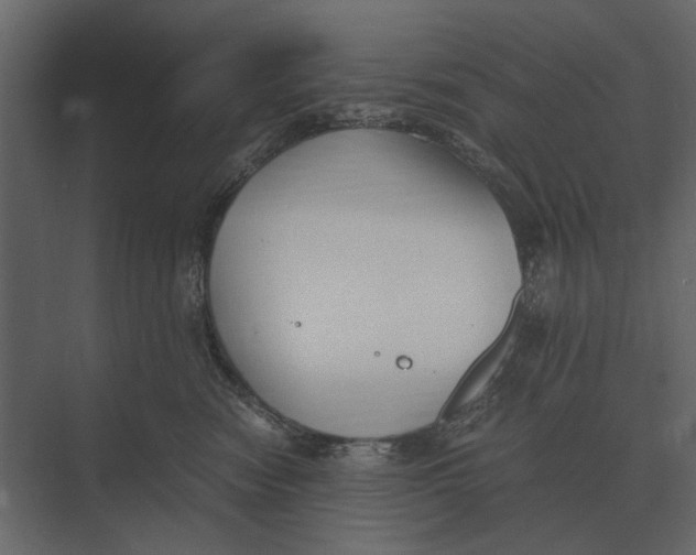 X0000073450474200608181243