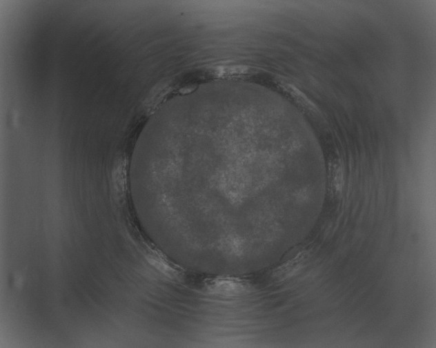 X0000073450475200608181243