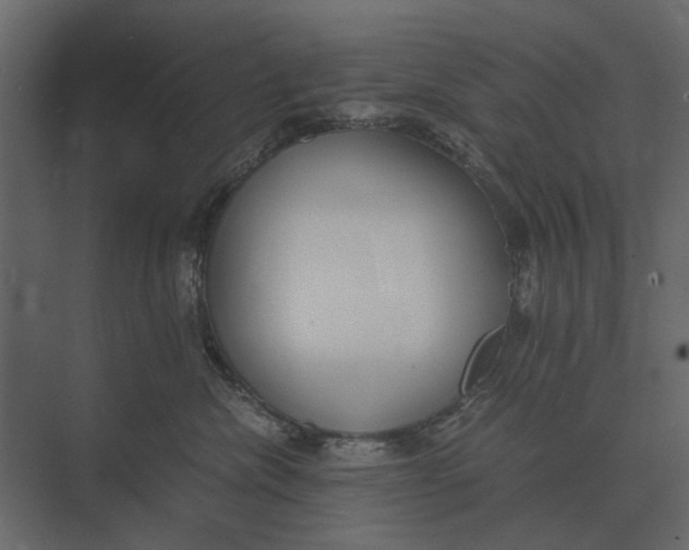 X0000073450476200608181243