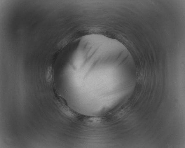 X0000073450478200608181243