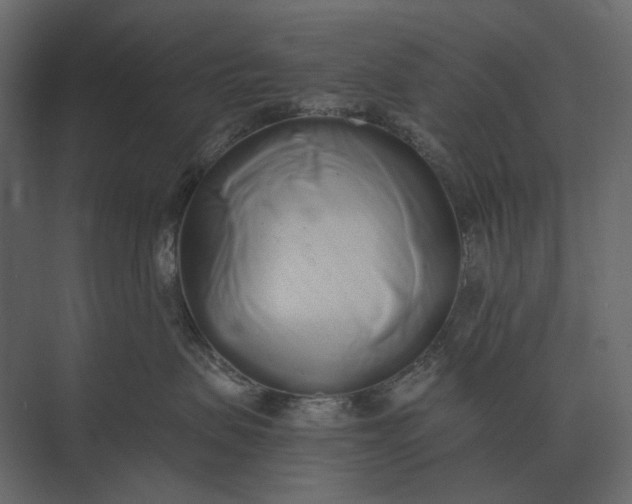 X0000073450479200608181243