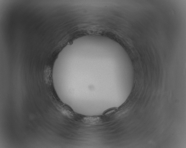 X0000073450480200608181243