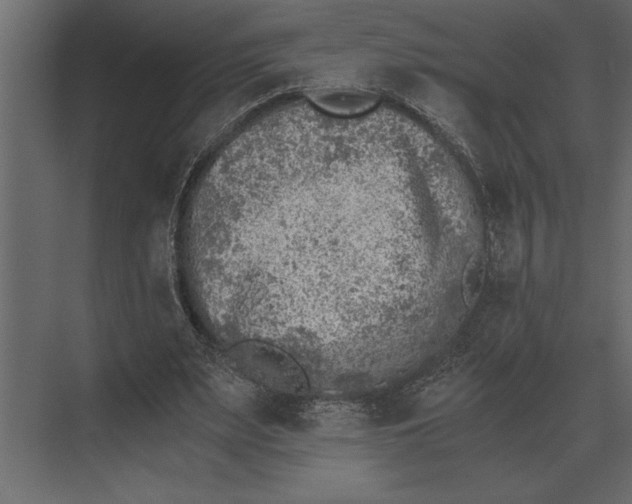 X0000073450487200608181242