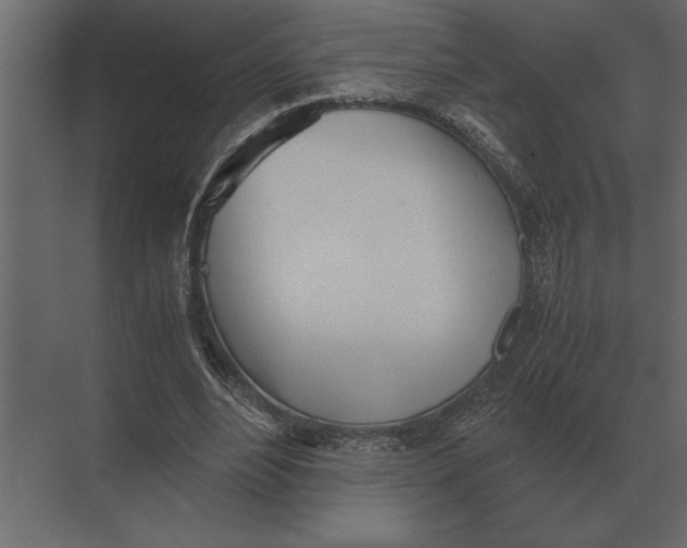 X0000073450488200608181242