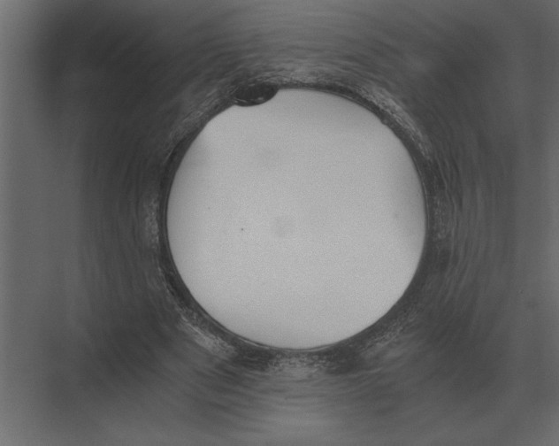 X0000073450489200608181242