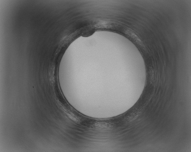 X0000073450490200608181242