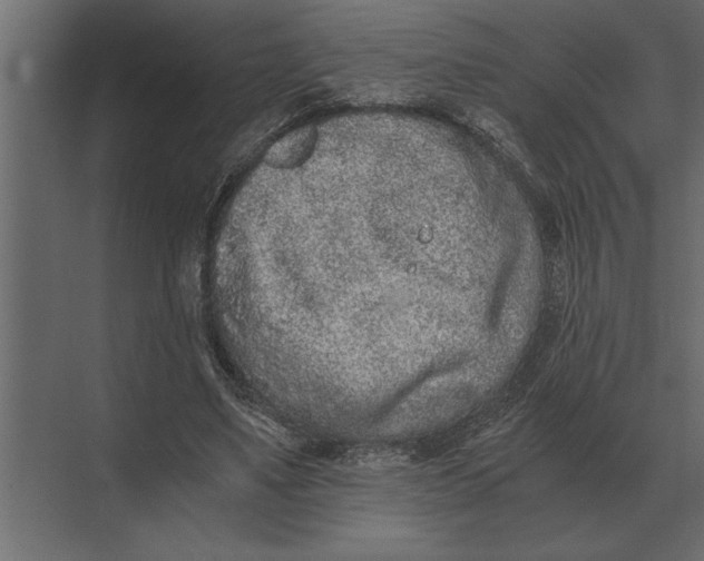 X0000073450491200608181242