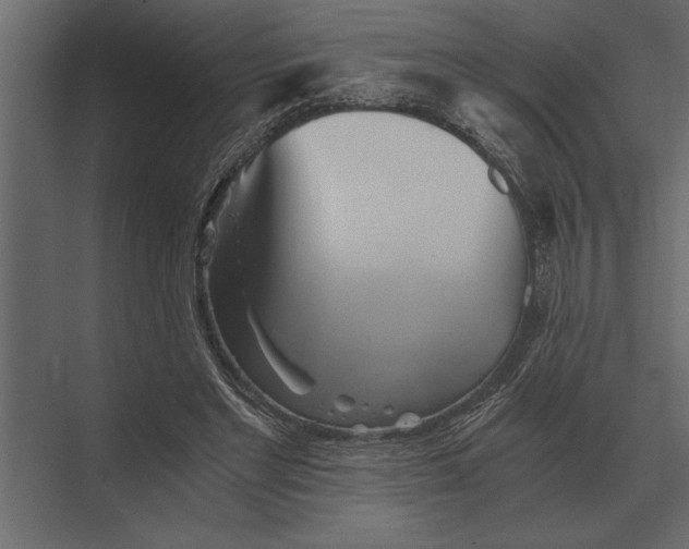 X0000073450493200608181242