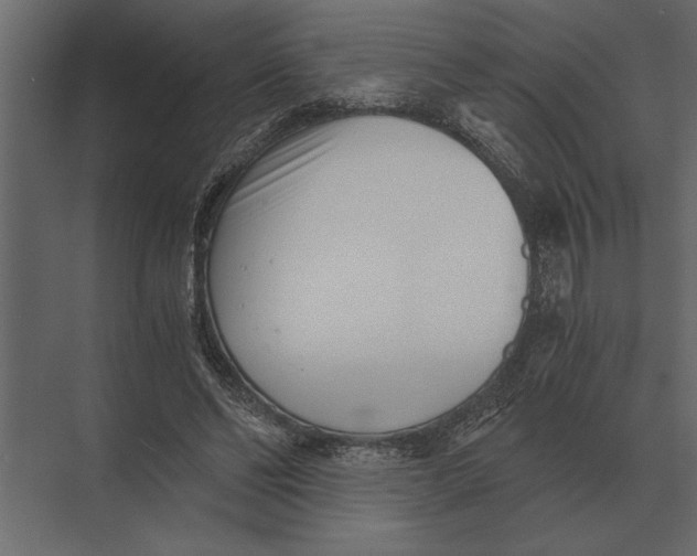 X0000073450494200608181242