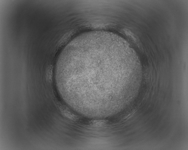 X0000073450495200608181242