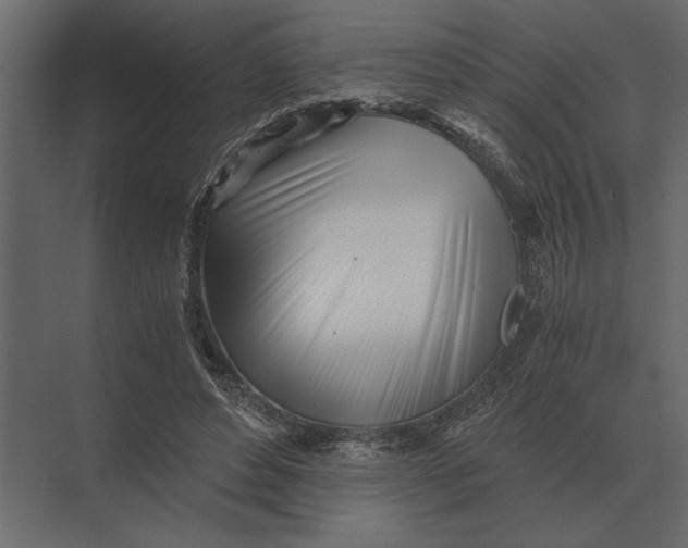 X0000073450496200608181242