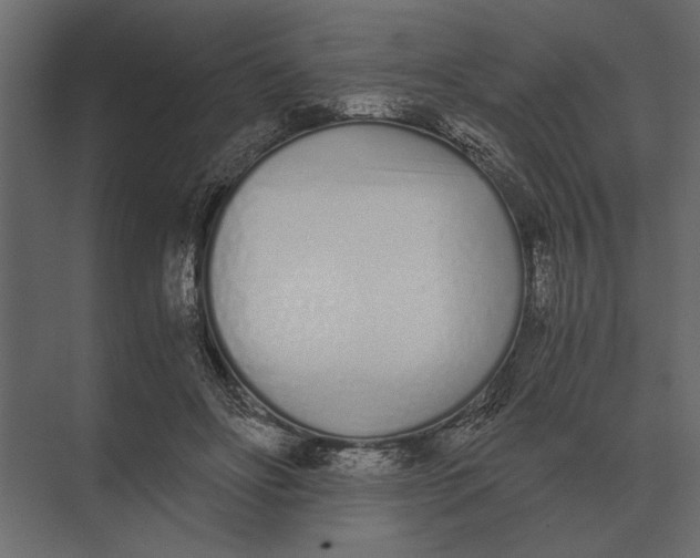 X0000073450502200608181242