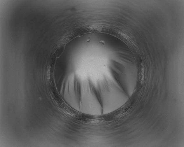 X0000073450504200608181242