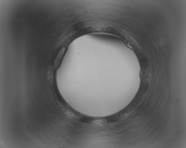 X0000073450505200608181242