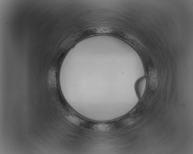 X0000073450506200608181242