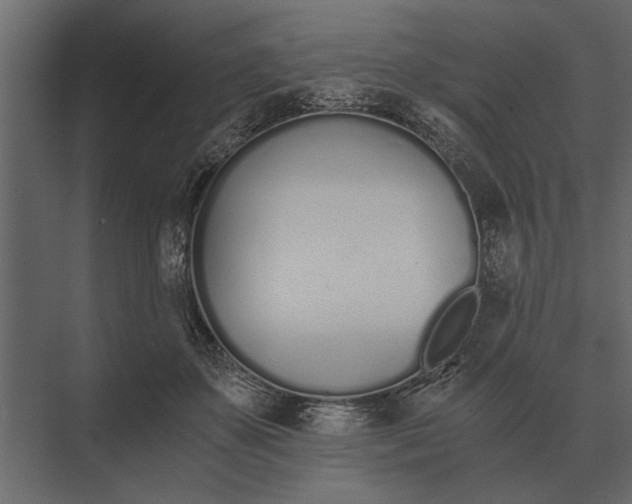 X0000073450507200608181242