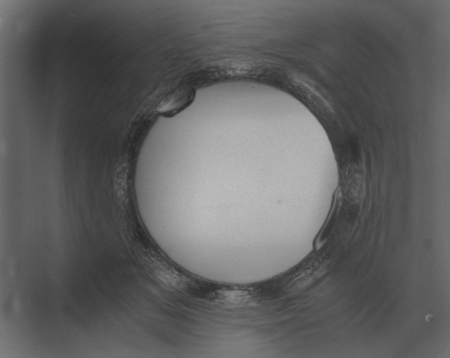 X0000073450509200608181242