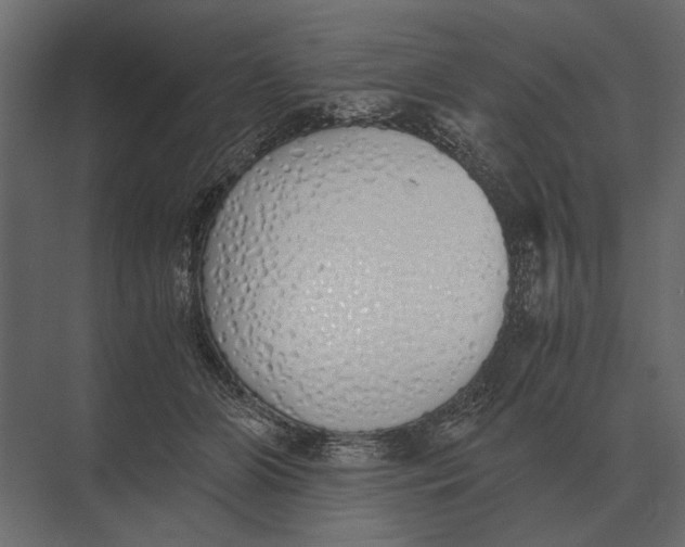 X0000073450510200608181242