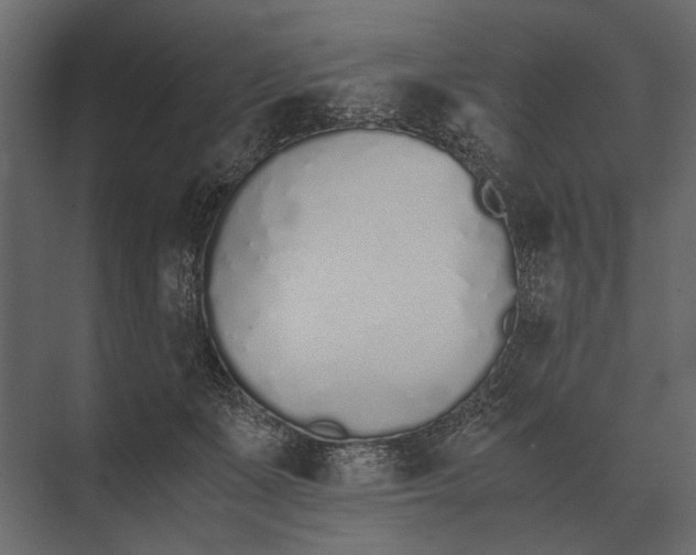 X0000073450511200608181242