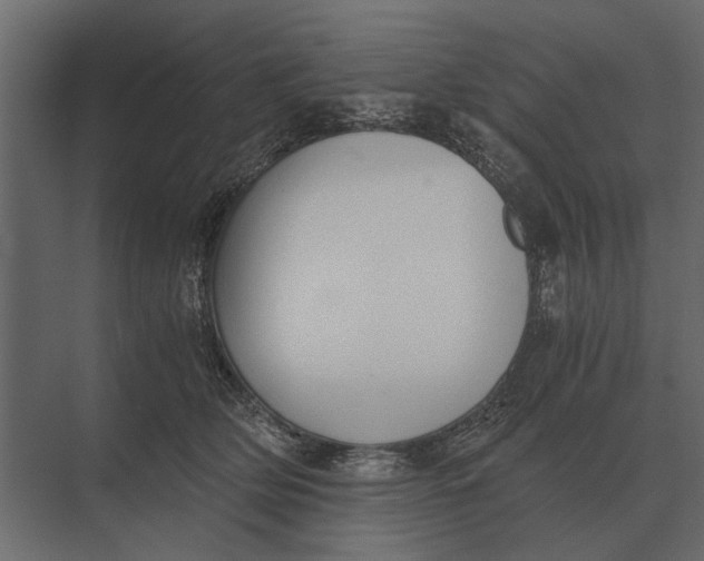 X0000073450514200608181242