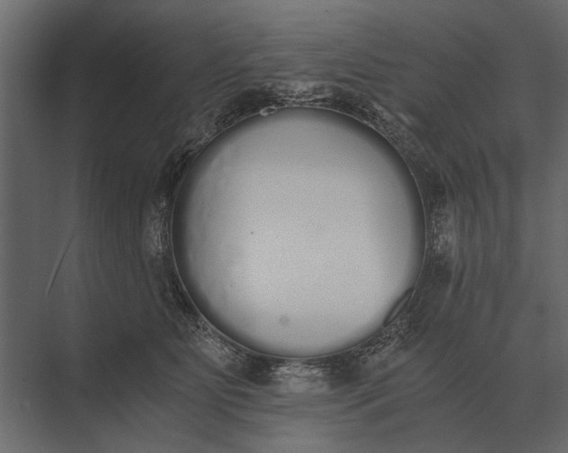 X0000073450515200608181242