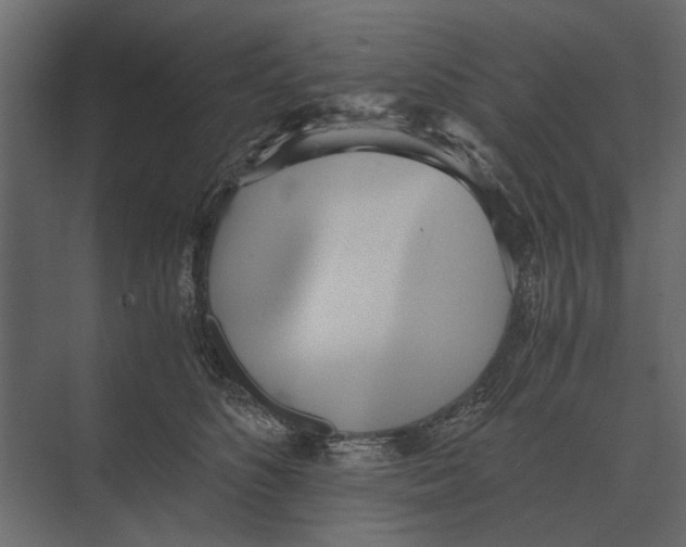 X0000073450516200608181242