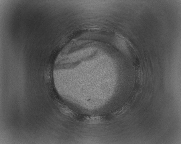 X0000073450517200608181242