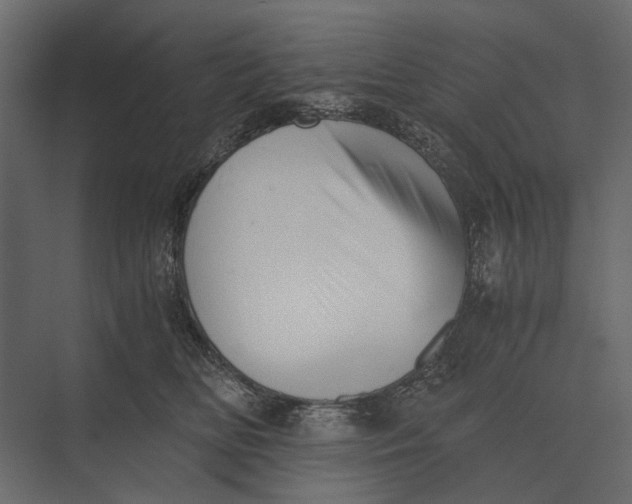 X0000073450518200608181242