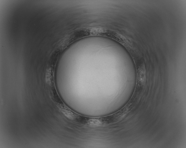 X0000073450519200608181242