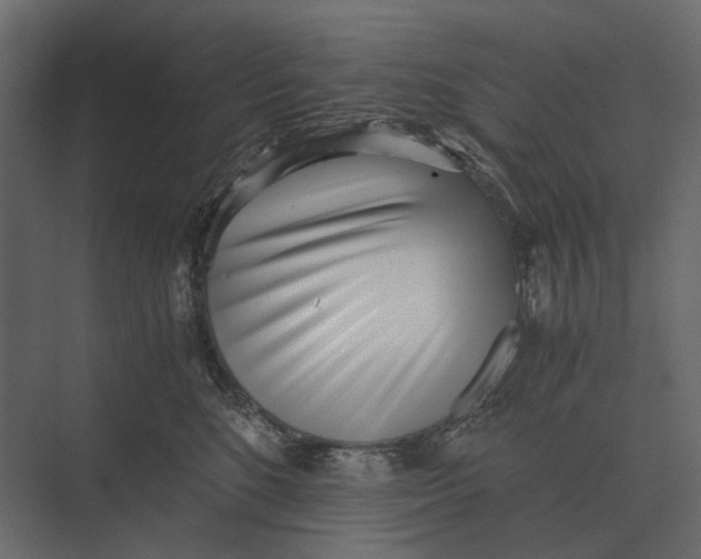 X0000073450520200608181242