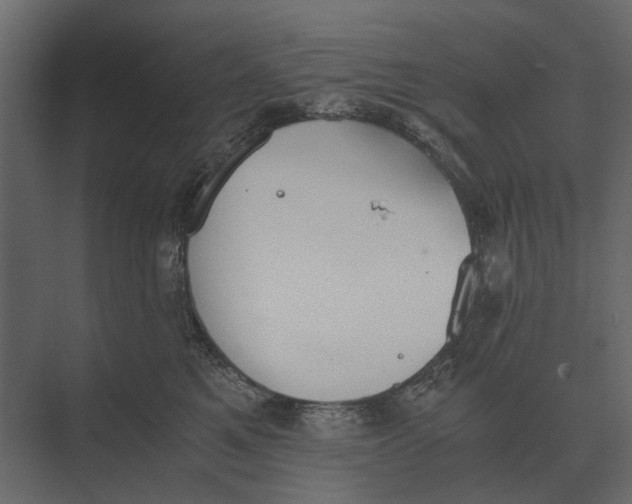 X0000073450521200608181242