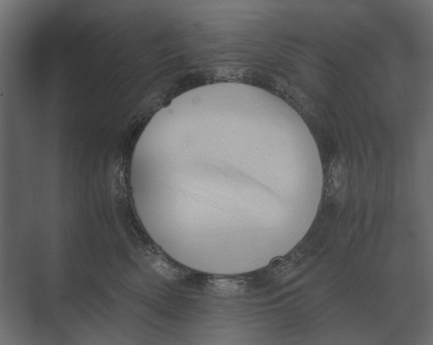 X0000073450522200608181242