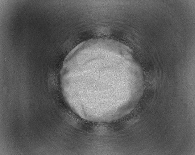 X0000073450523200608181242