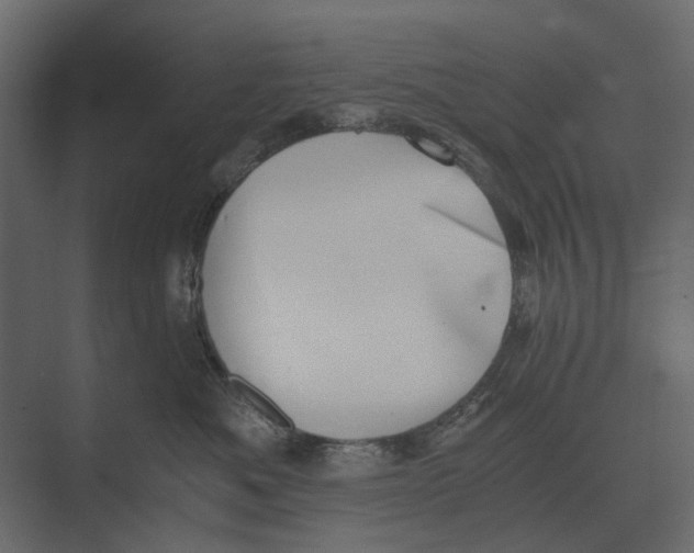 X0000073450525200608181242