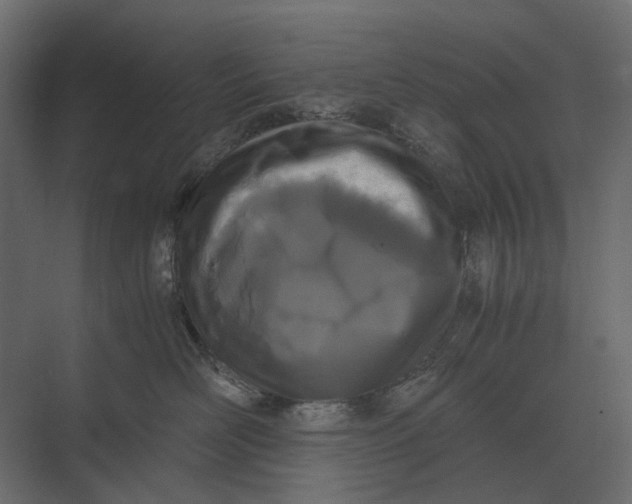 X0000073450526200608181242