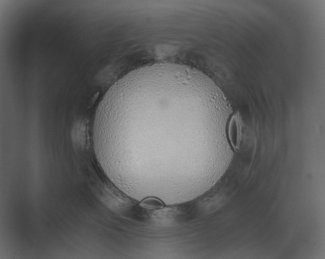 X0000073450527200608181242