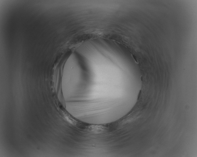 X0000073450528200608181242