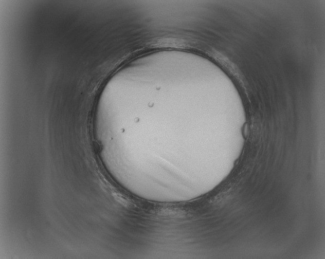 X0000073450529200608181241