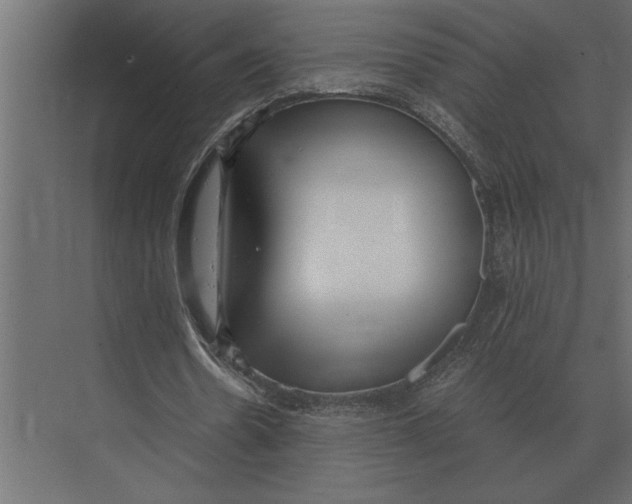 X0000073450530200608181241