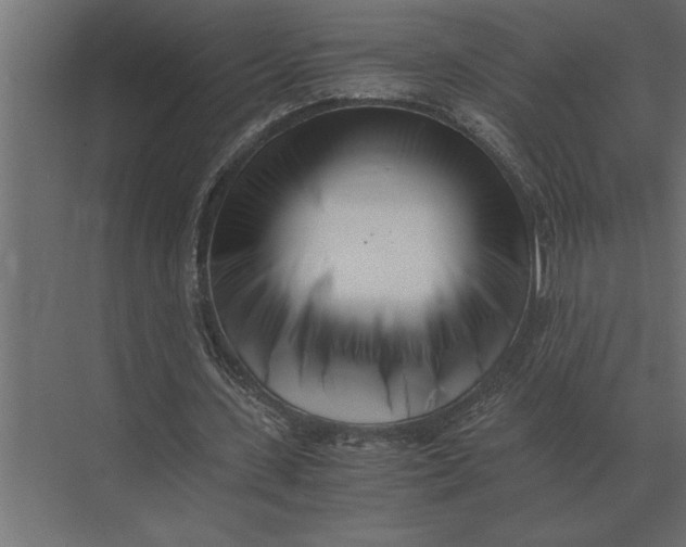 X0000073450531200608181241