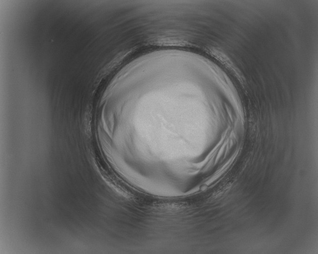 X0000073450533200608181241