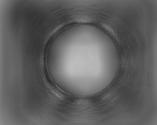 X0000073450535200608181241