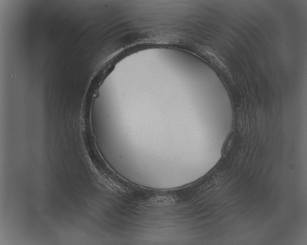 X0000073450536200608181241