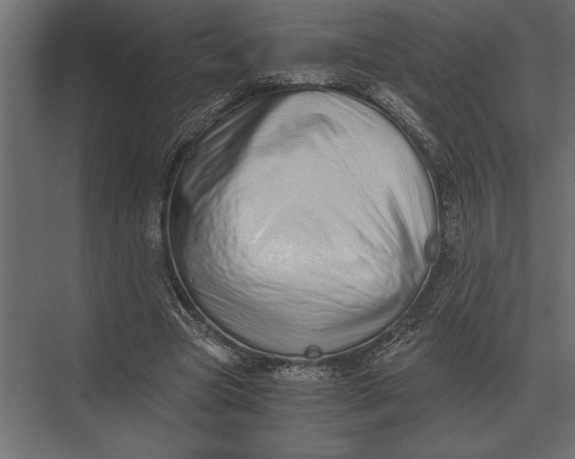 X0000073450537200608181241