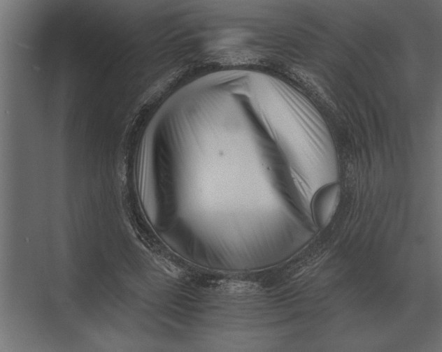 X0000073450539200608181241